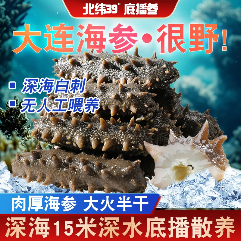大连辽刺参深海拉缸盐半干海参[18-22头左右/500g]顺丰包邮