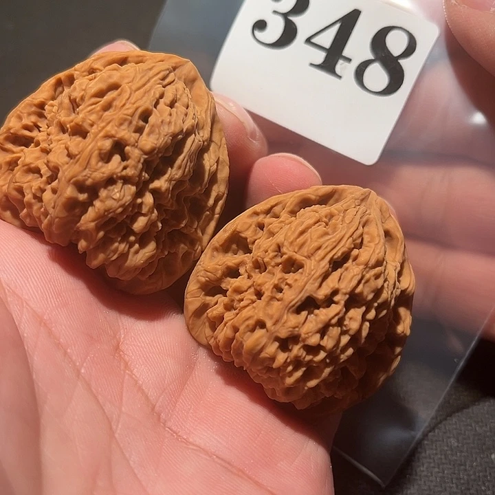 核桃11111111111111111