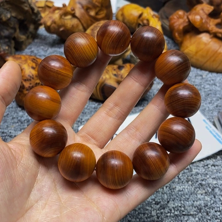 柏木（崖柏）崖柏145