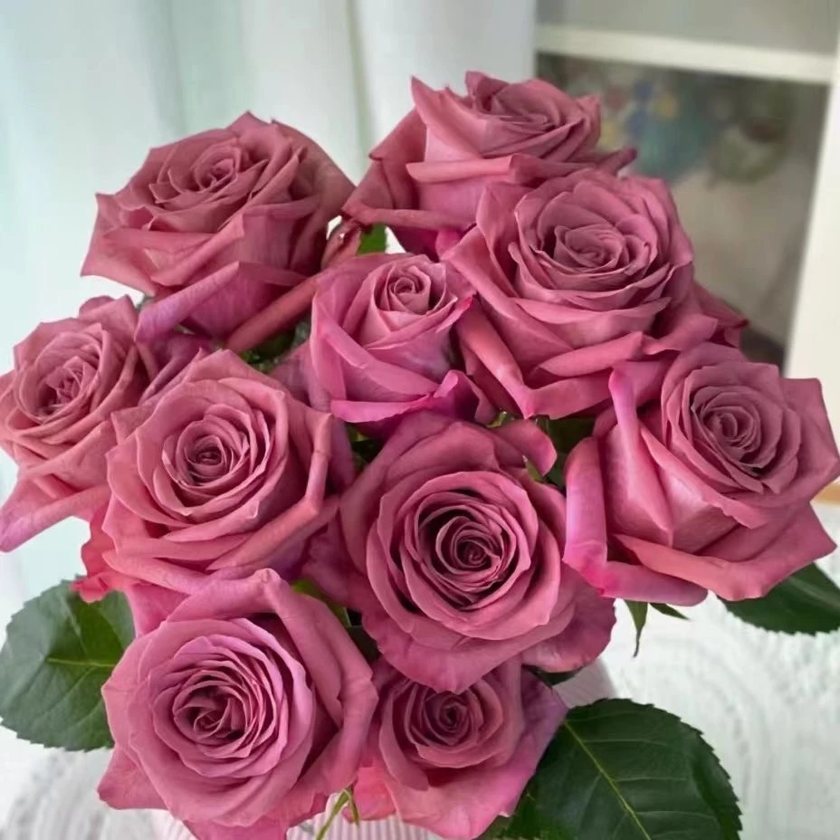 咖啡师【新品月季】复古豆沙色花瓣厚杯状切花抗病好阳台花卉