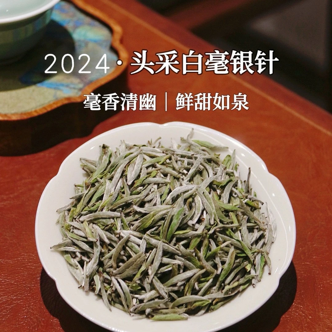 2024年头春头采福鼎白毫银针 高山料毫香花香馥郁 口感甘甜清爽