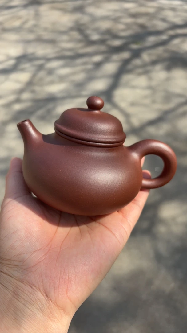 宜兴紫砂壶中草清容天240cc半手工