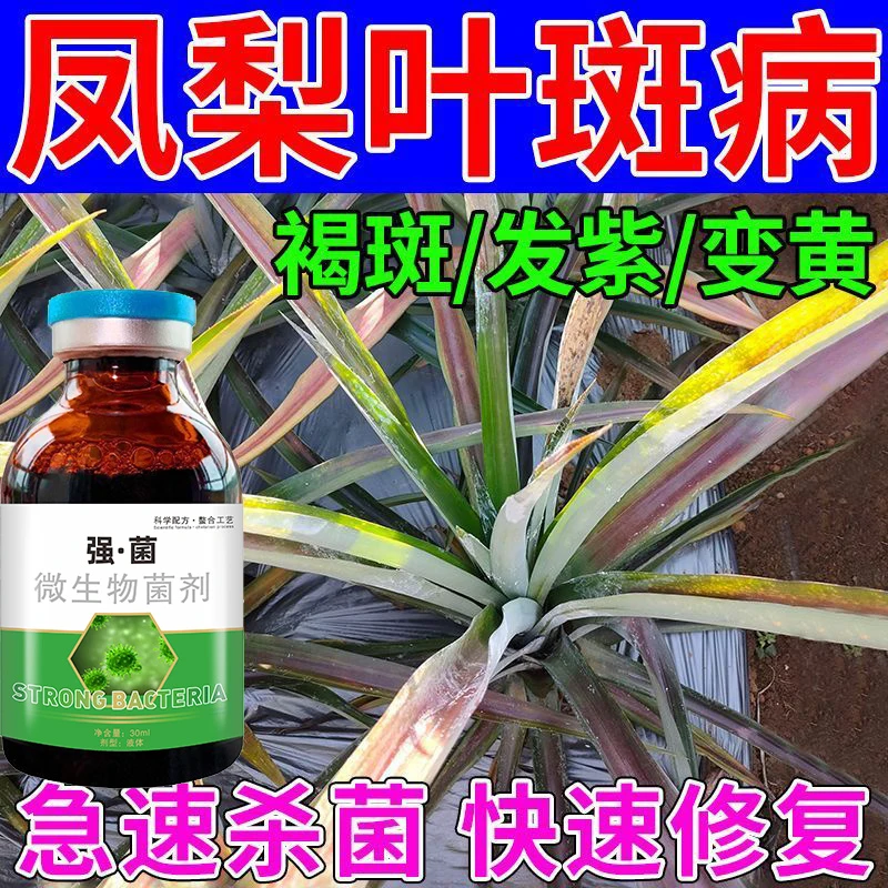 凤梨专用凤梨菌剂凤梨病全治凤梨心腐病凋萎病曲颈病绿萎病通用型