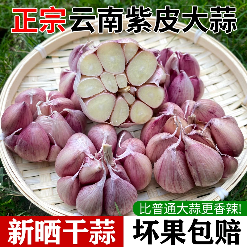 云南紫皮蒜多瓣蒜泡蒜腊八蒜生吃蒜1斤/3斤/5斤