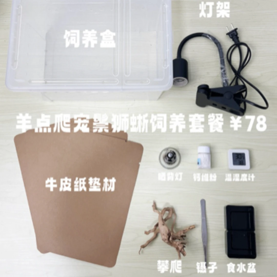 鬃狮蜥饲养套装9样小件组合套装