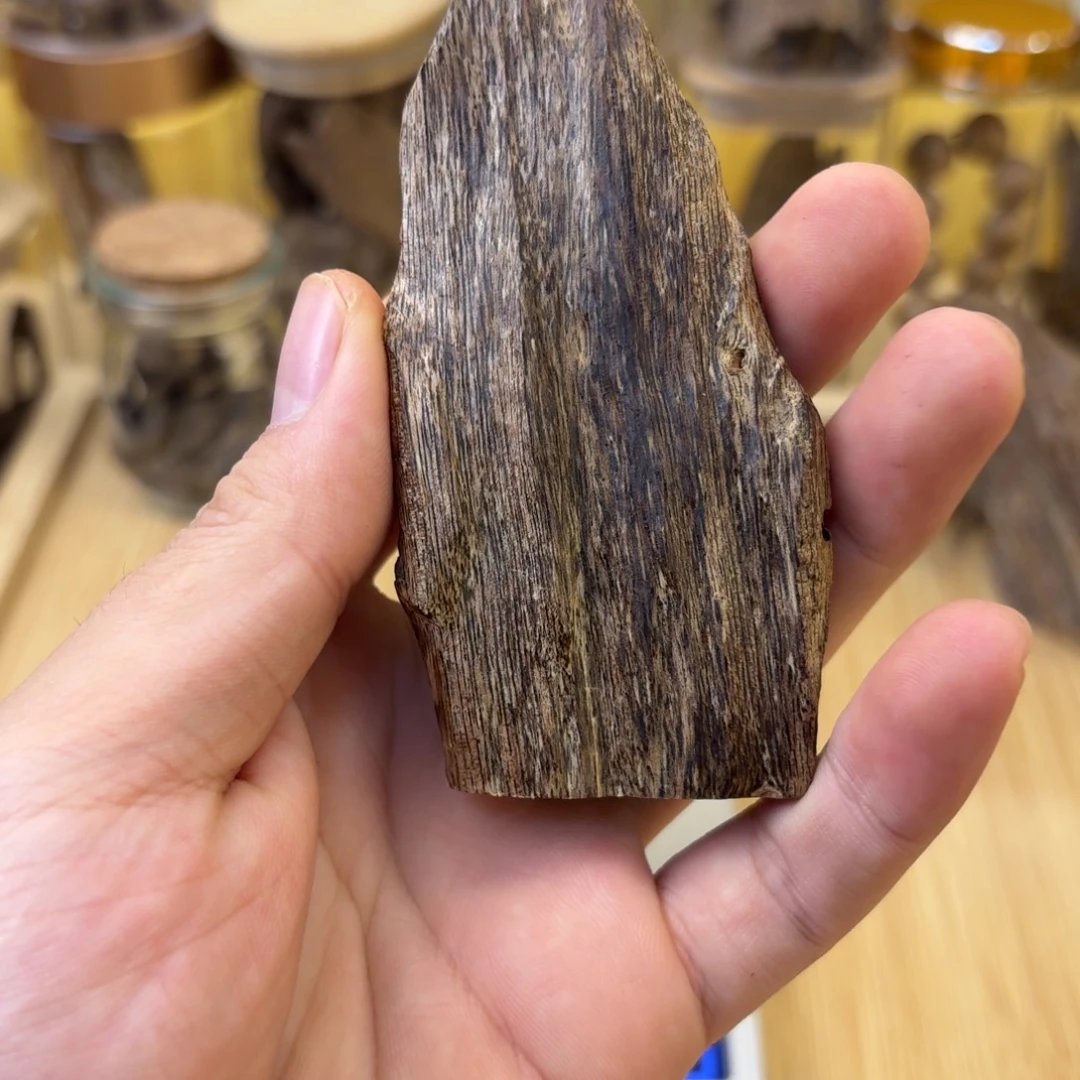 海南树心虫漏小把件20克