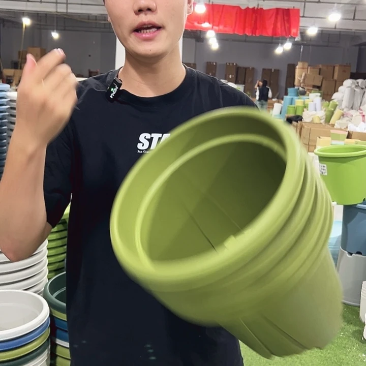 青山口32高28果绿色5只无托