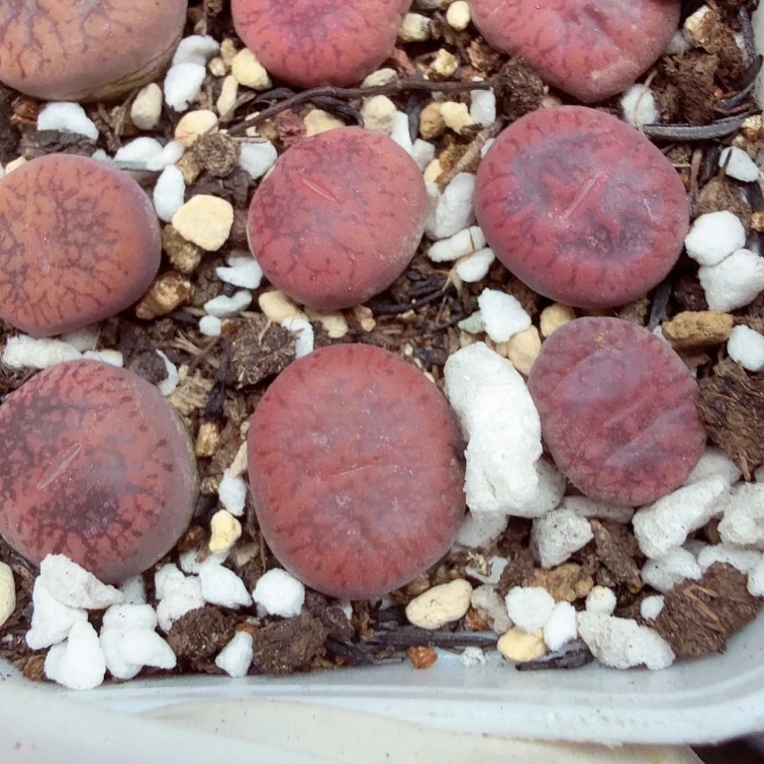 这个点睡起来都还困吗469哈哈