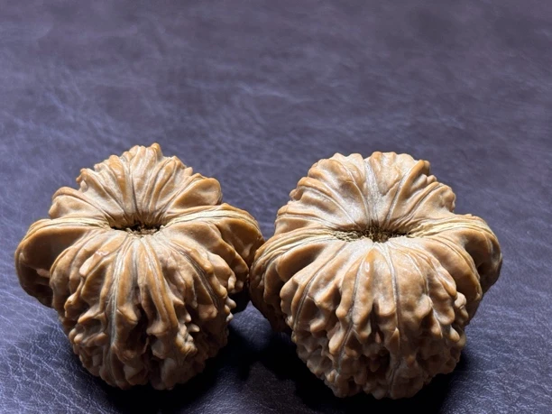 精品核桃·全品44拱桥四座楼