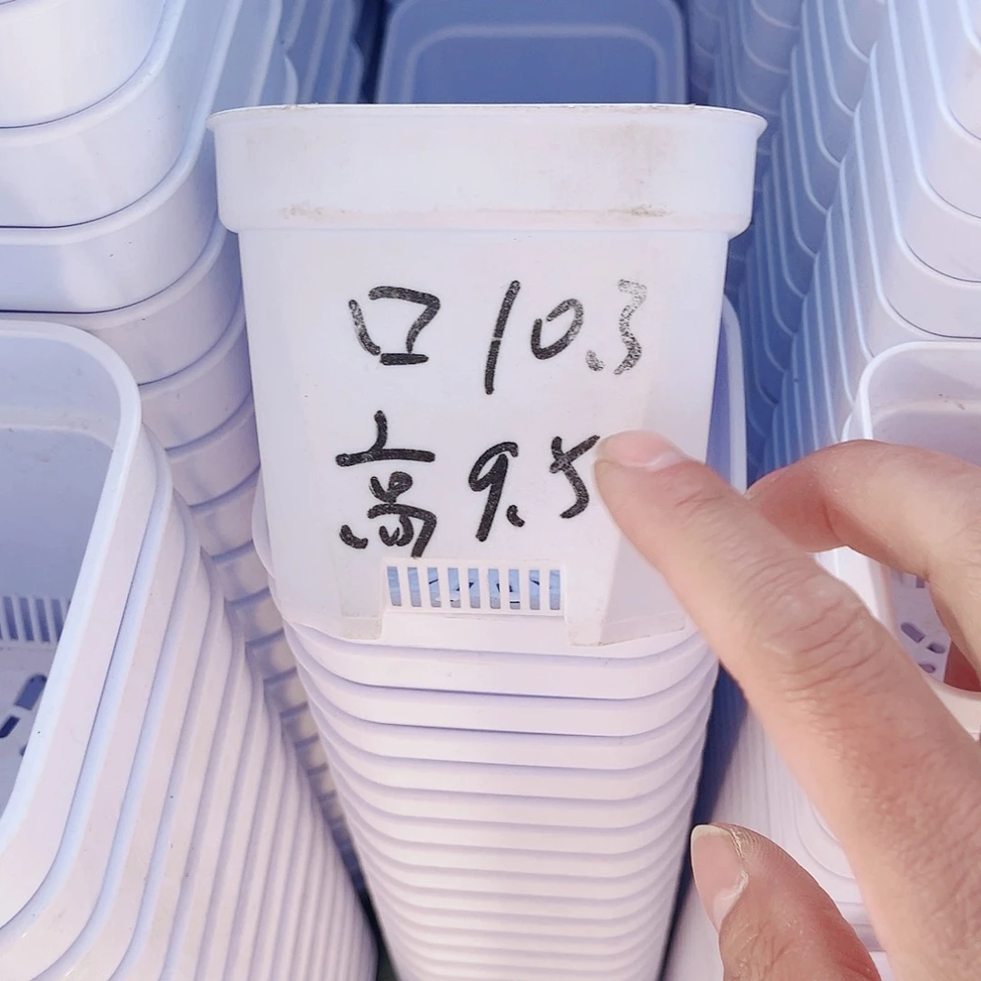 塑料加厚矮胖10方白色盆10个无托