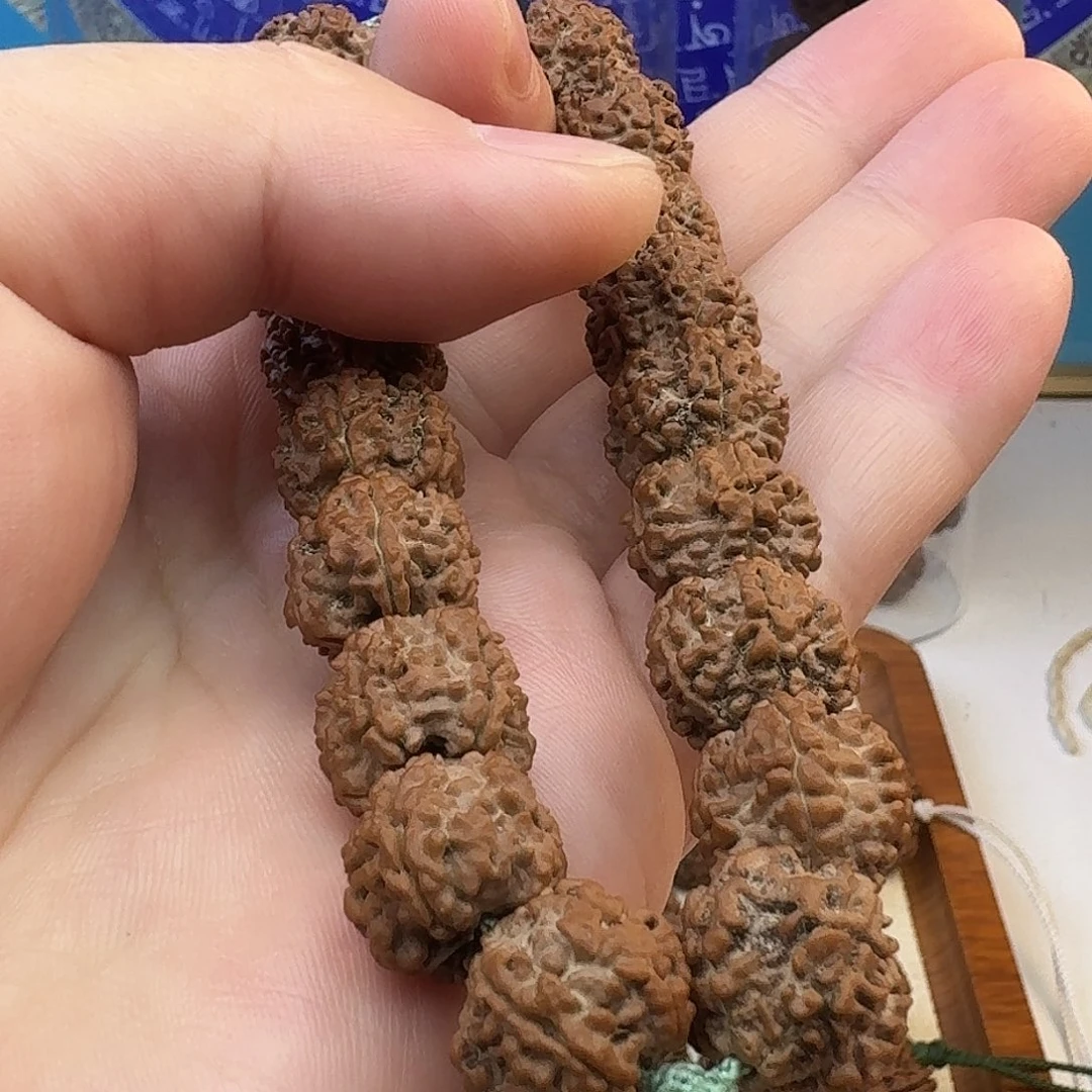 金刚菩提手串龙骨梅花