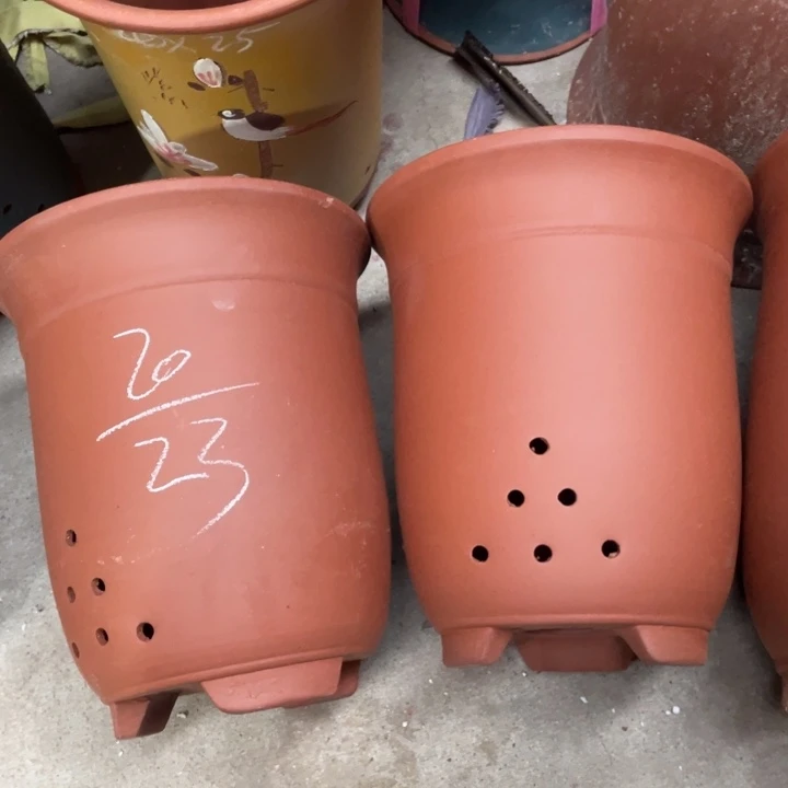 周深周深周深周深