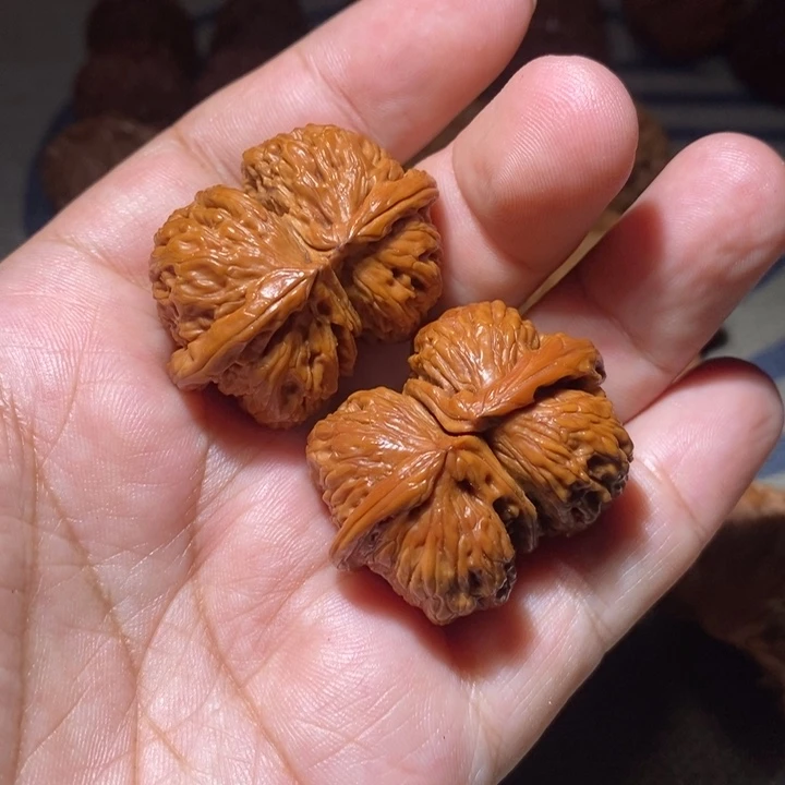 把件文玩核桃40白狮子连体