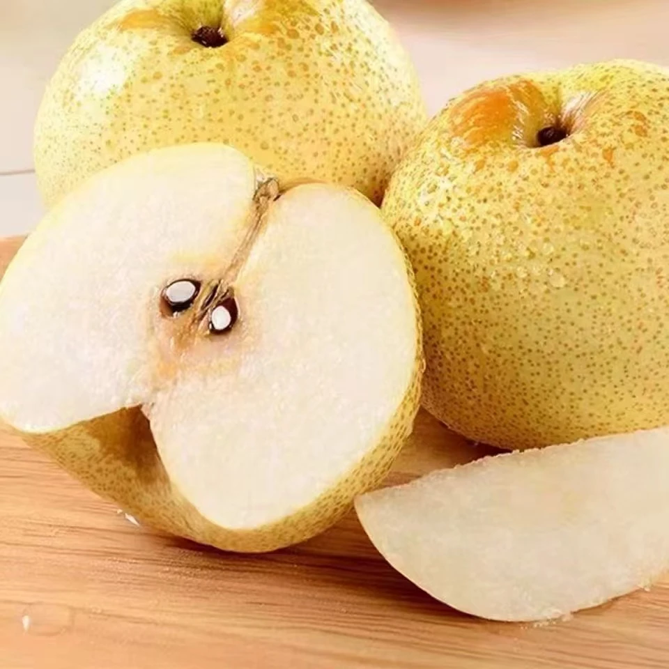 陕西砀山酥梨当季新鲜水果脆甜多汁皮薄老树梨子【顺丰包邮】