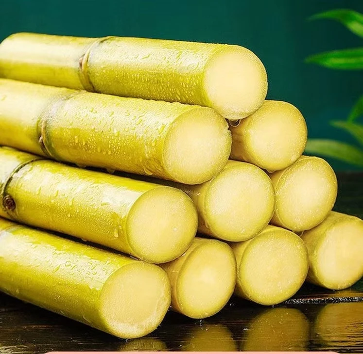 云南黄金甘蔗蜂糖甘蔗精挑新鲜直达香甜爽脆