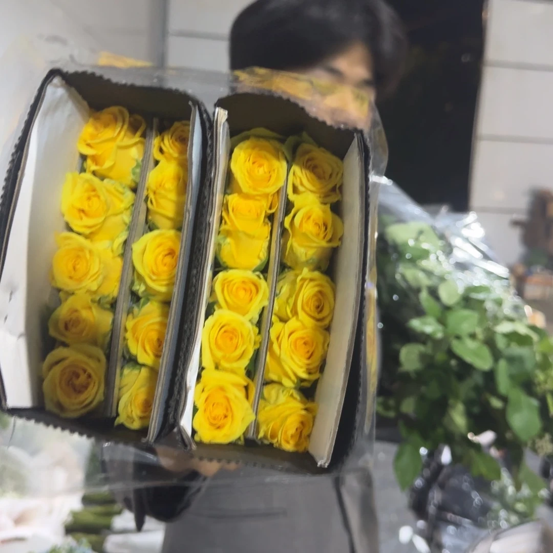 金枝1扎包邮价秒杀