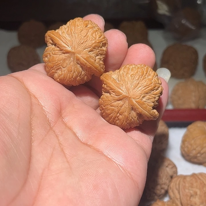 木38精品泥鳅背。