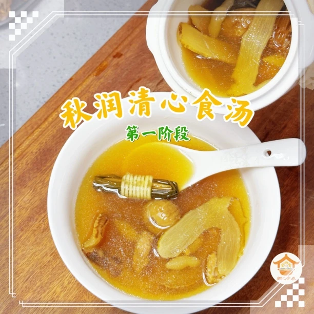 第一阶段秋润儿童清心灯芯草海底椰麦冬清心汤营养汤料包去心火
