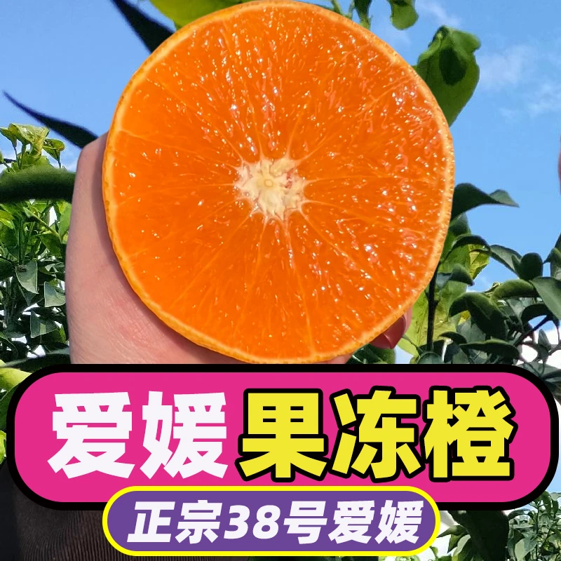 【试吃三颗】正宗四川爱媛38号果冻橙新鲜孕妇水果整箱升级套袋包邮