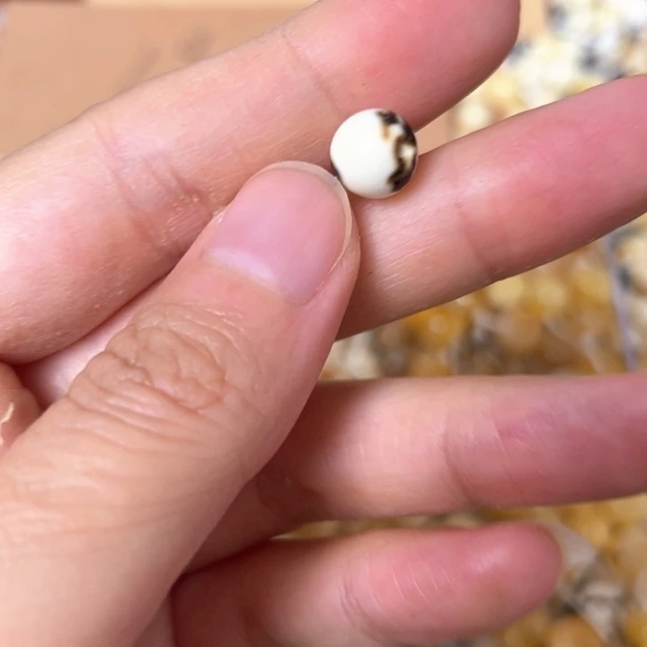 蜜蜡未镶嵌裸石8.3mm一个