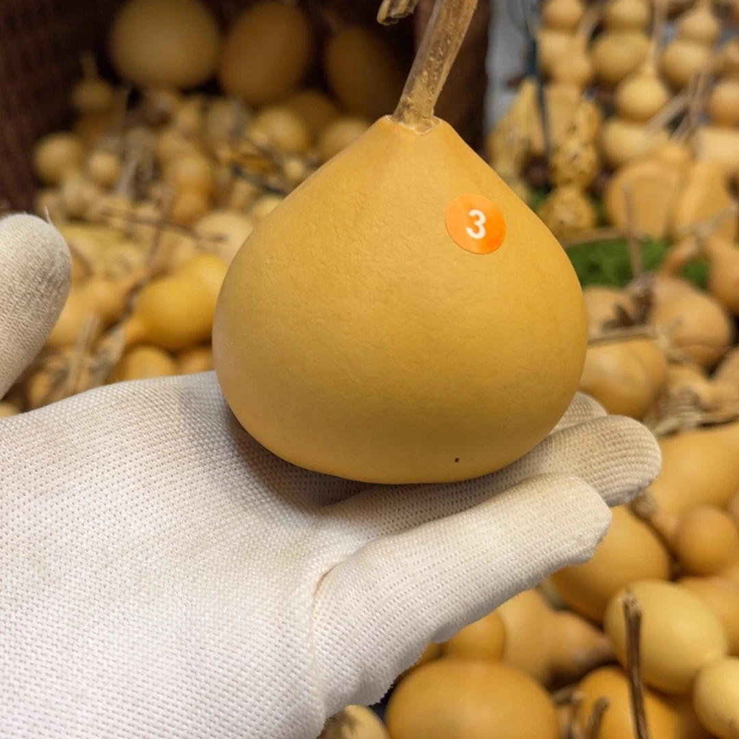 闪拍葫芦链接-3号品