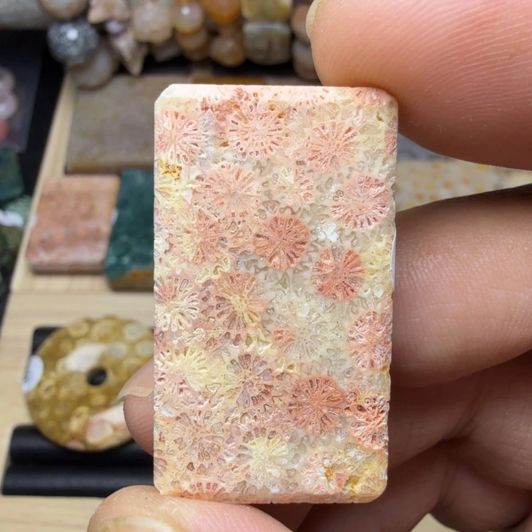 硅化玉未镶嵌纯天然色有机玉石保真色骨骼花