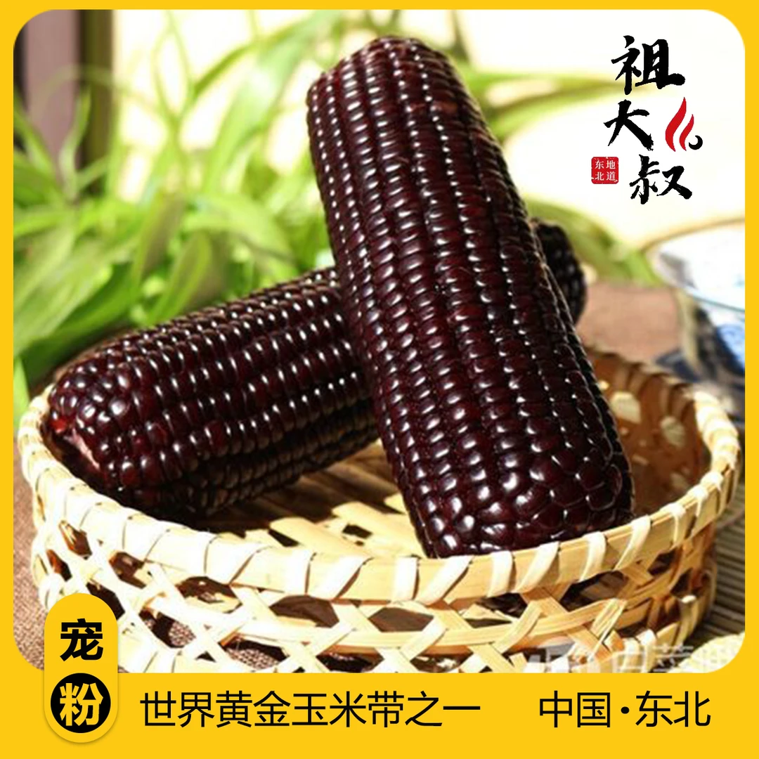 （试吃一根）铝箔包装10+1东北黑糯玉米 整箱5.5-6斤