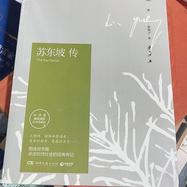 苏东坡传全新推荐