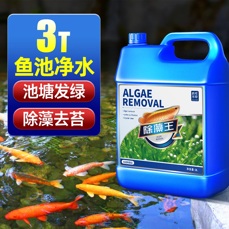 鱼池鱼塘除藻去苔剂鱼缸专用除藻剂青苔绿藻清除剂去除绿水褐丝藻