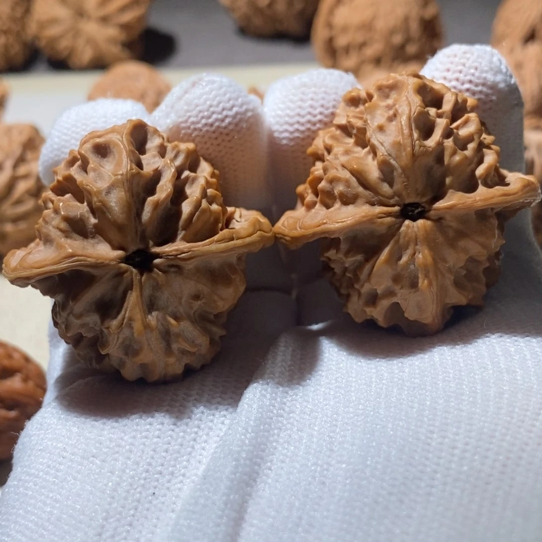 文玩核桃把件A***7玄月37尺寸