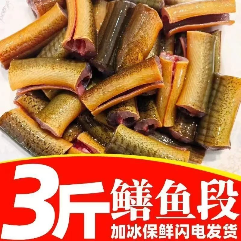 【活鱼现杀】带骨鳝鱼段黄鳝鱼美味甄选冷冻发货有保护性冰