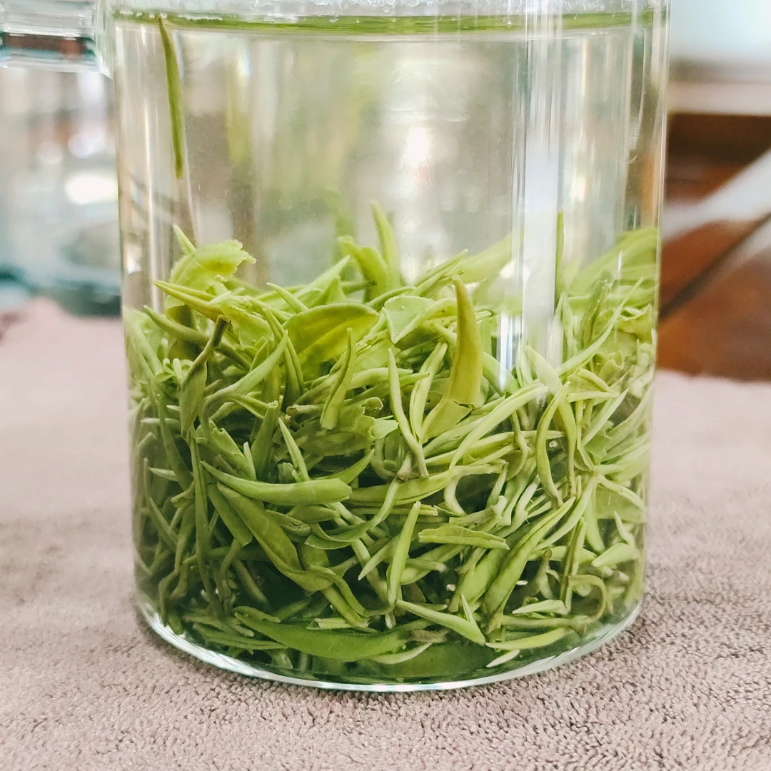 11号2025新茶紫阳茶焕古茶陕茶一号高山毛尖绿茶高级茶叶新茶叶