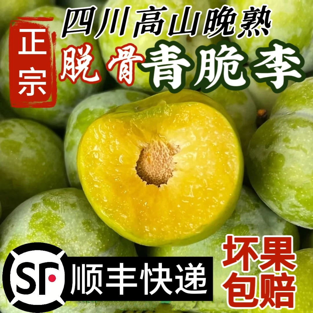 【顺丰快递】正宗四川青脆李甜脆李脱骨李蜂蜜李新鲜水果新鲜青李子