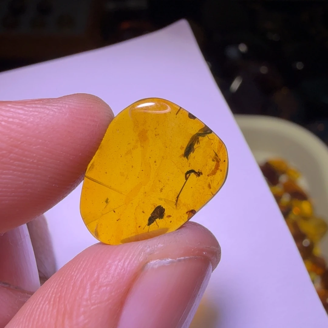 用***1琥珀未镶嵌裸石，，