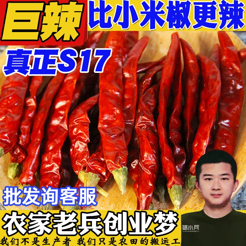 巨辣魔鬼辣干辣椒超辣特辣变态辣辣椒粉辣椒段辣椒面正宗印度辣椒