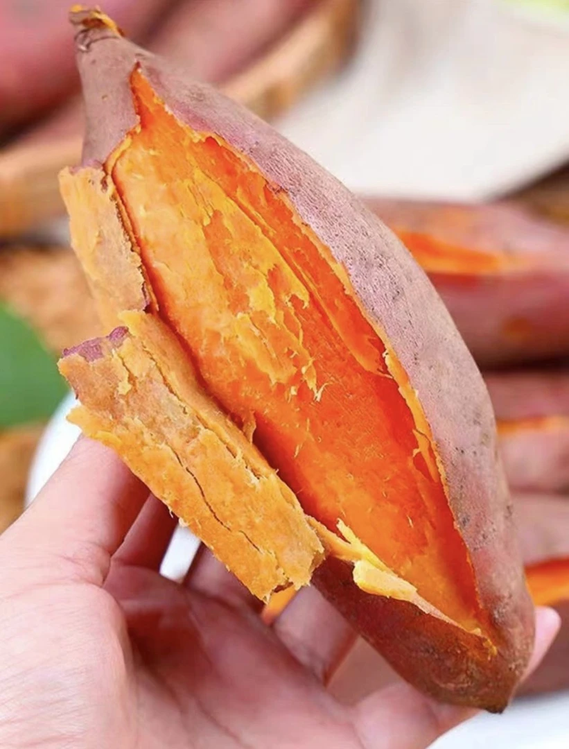 【君子兰专属】河南开封沙地西瓜红蜜薯5斤装农家自种粗粮代餐