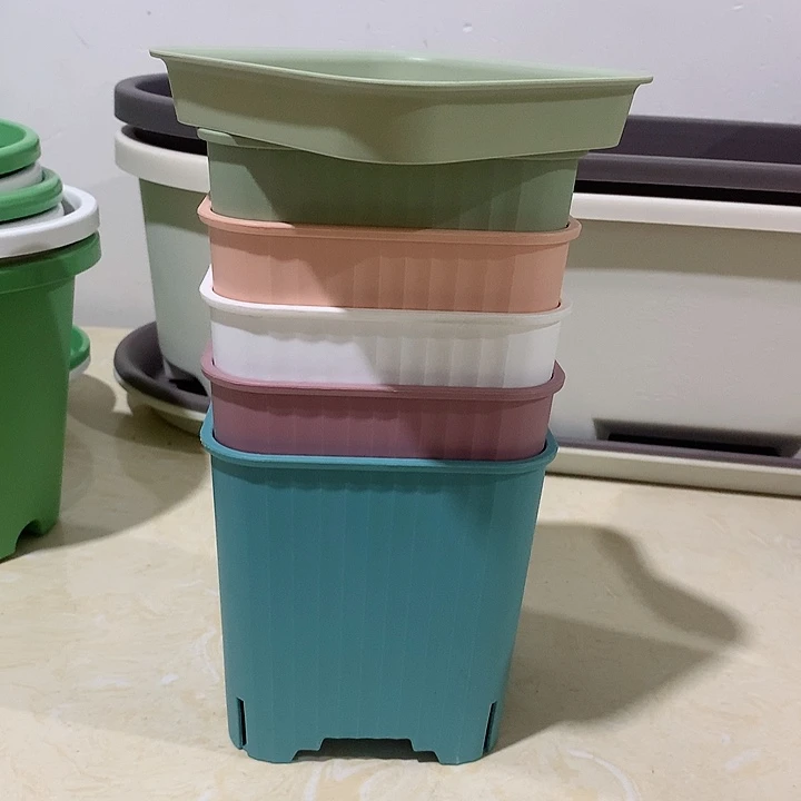 方口14混色5个带托