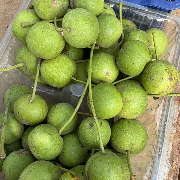 血麒麟核桃专用链接