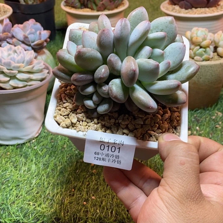 0101啊啊啊啊啊啊啊啊啊