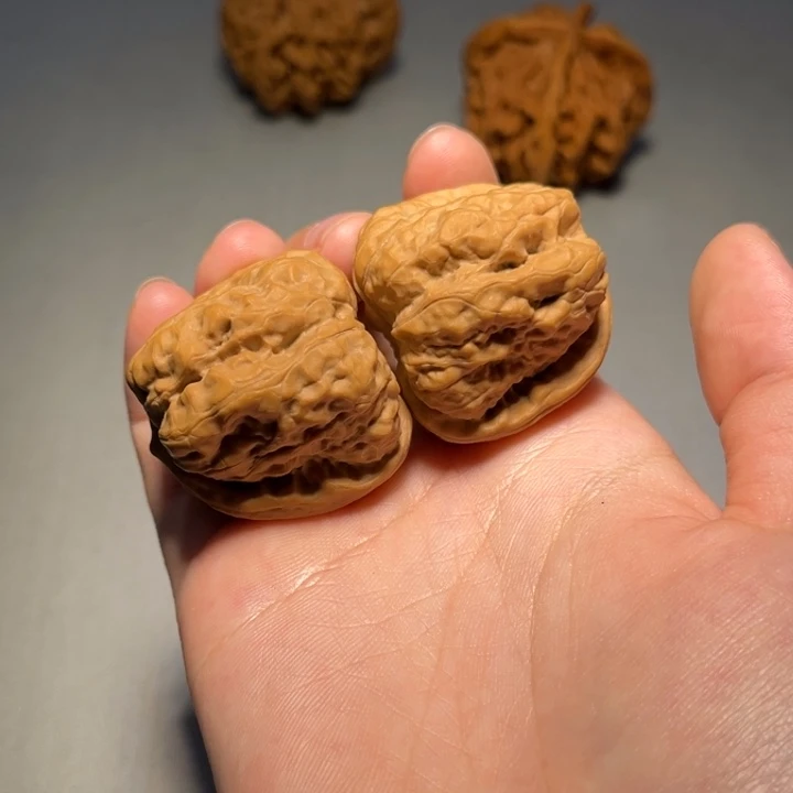 文玩核桃把件蛤蟆331