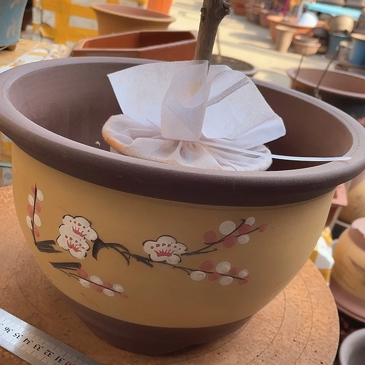 紫砂宜兴紫砂T005中