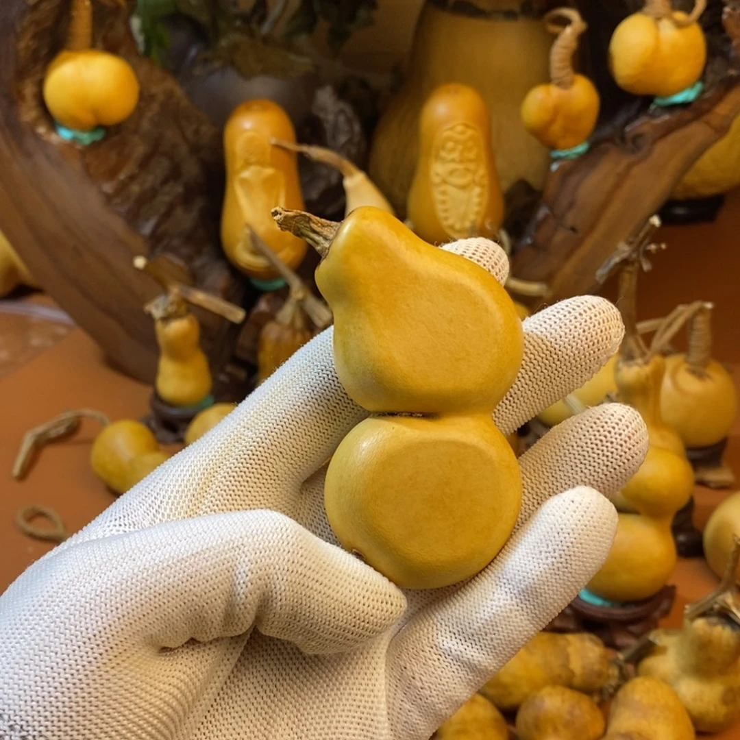 秀***儿啦啦啦噜路途咯哇教练咯