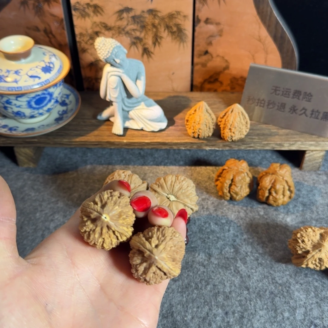 蒜头黄金甲不退换