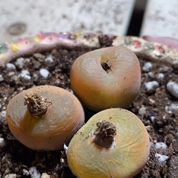 12226一组一组一组