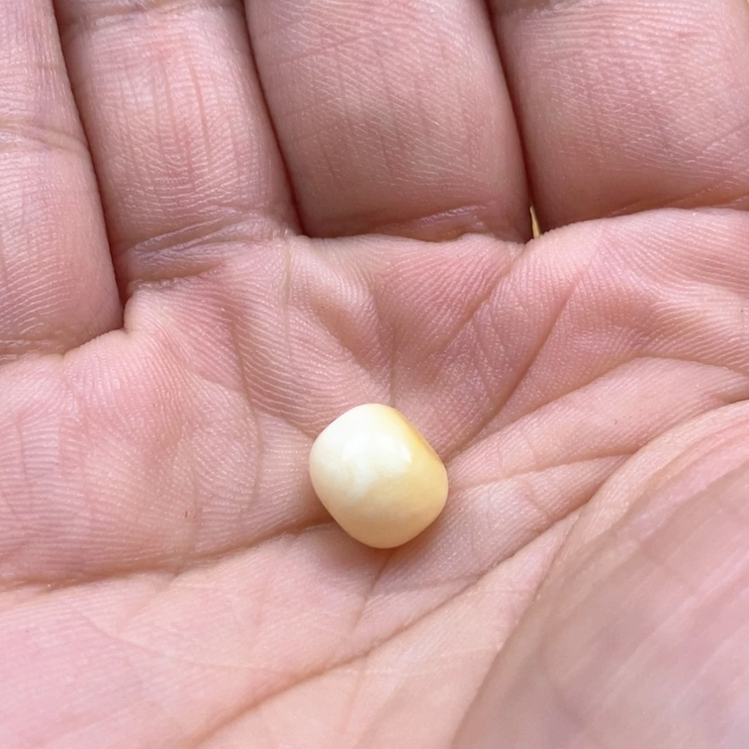 琥珀未镶嵌珠宝奇石蜜蜡老型单珠