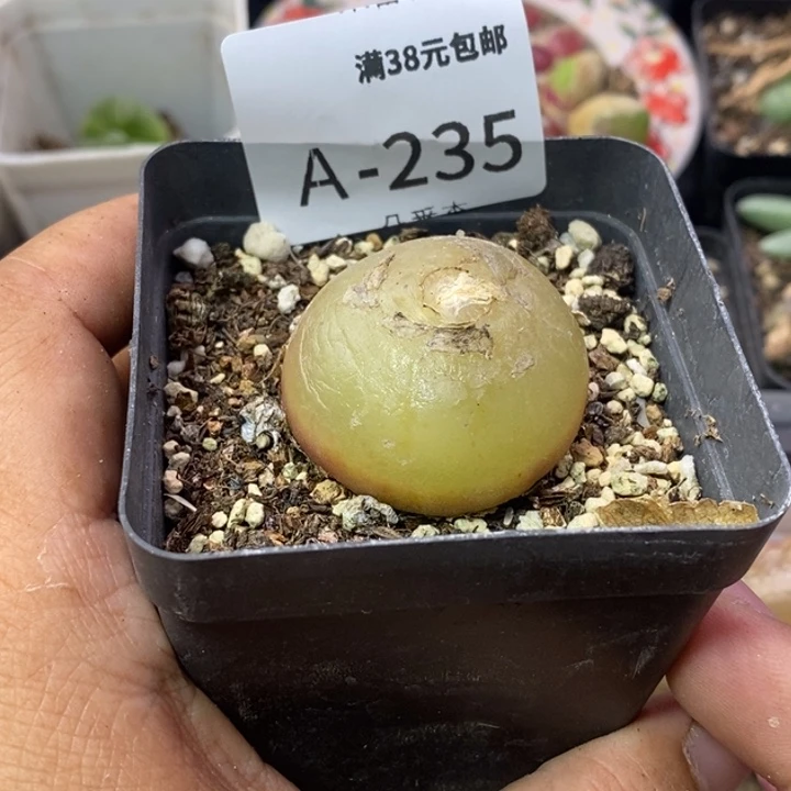 嗨*呦26969999999。  09。