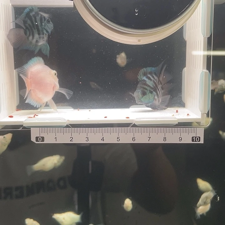 我***爱88888888888888888888