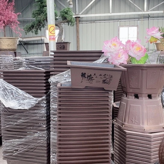 复合盆景制作方法