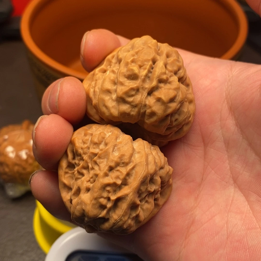 福利福利福利福利