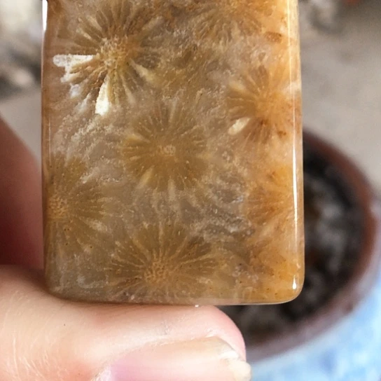 硅化玉吊坠未镶嵌